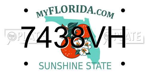 7438VH Florida License Plate