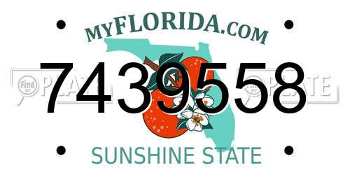 7439558 Florida License Plate