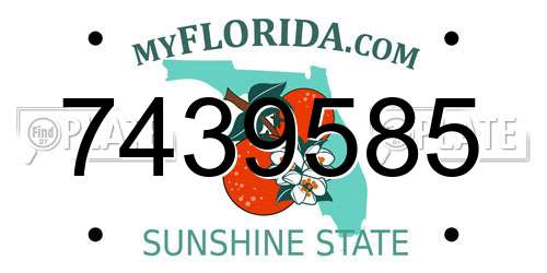 7439585 Florida License Plate