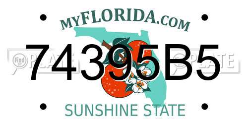 74395B5 Florida License Plate