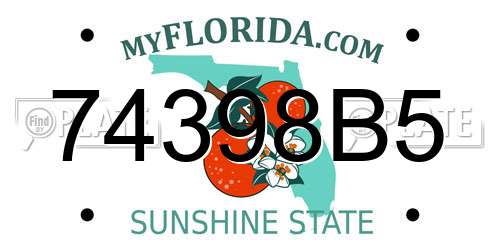 74398B5 Florida License Plate