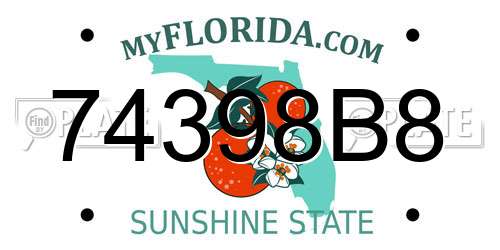 74398B8 Florida License Plate
