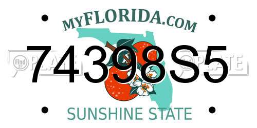 74398S5 Florida License Plate