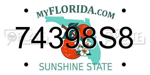 74398S8 Florida License Plate