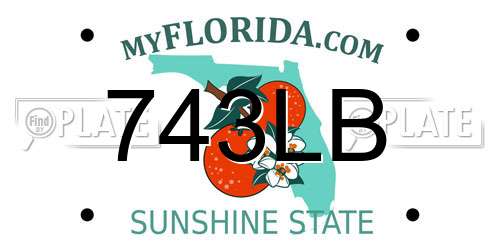 743LB Florida License Plate