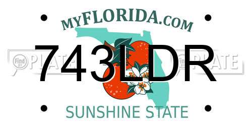743LDR Florida License Plate