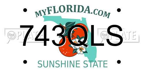 743QLS Florida License Plate