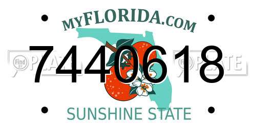 7440618 Florida License Plate