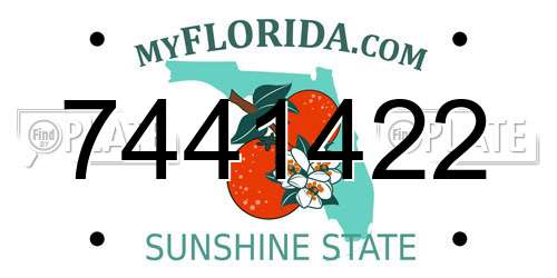 7441422 Florida License Plate
