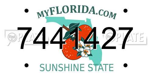 7441427 Florida License Plate