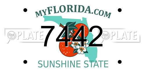 7442 Florida License Plate
