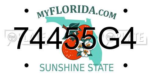 74455G4 Florida License Plate