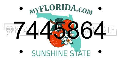 7445864 Florida License Plate