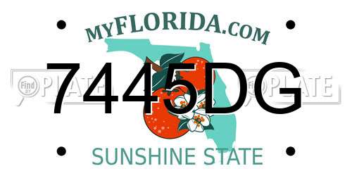 7445DG Florida License Plate