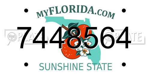 7448564 Florida License Plate
