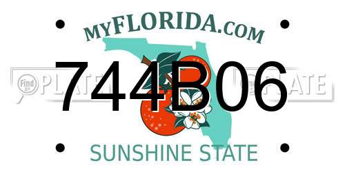 744B06 Florida License Plate