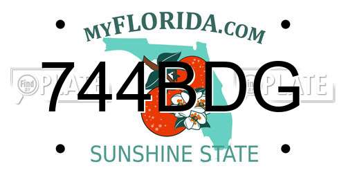 744BDG Florida License Plate