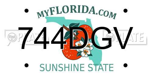 744DGV Florida License Plate