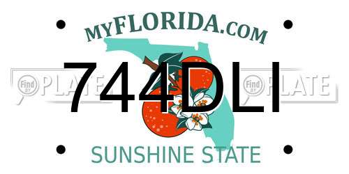744DLI Florida License Plate