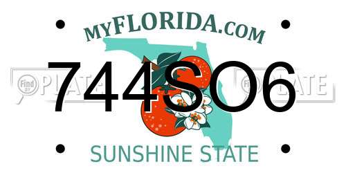 744SO6 Florida License Plate