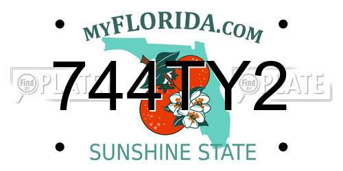 744TY2 Florida License Plate