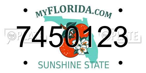 7450123 Florida License Plate