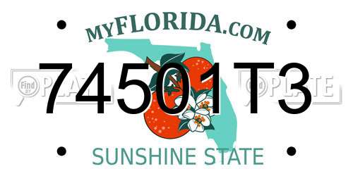 74501T3 Florida License Plate