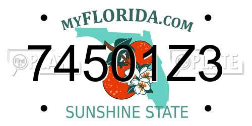 74501Z3 Florida License Plate
