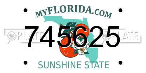 745625 Florida License Plate