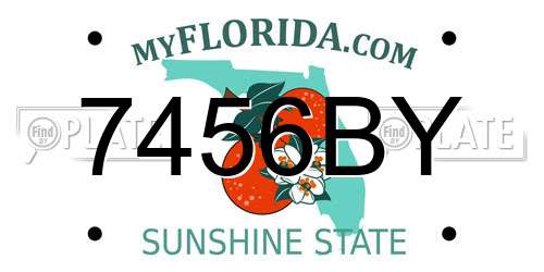 7456BY Florida License Plate