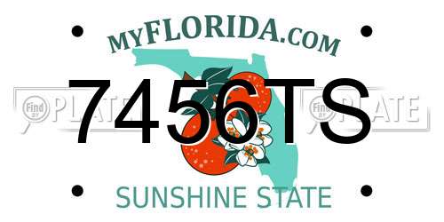 7456TS Florida License Plate