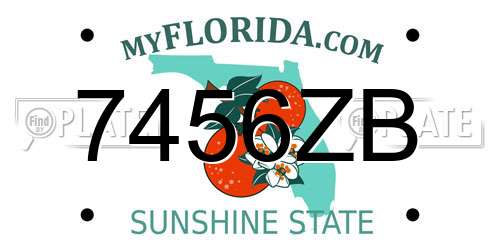 7456ZB Florida License Plate