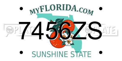 7456ZS Florida License Plate