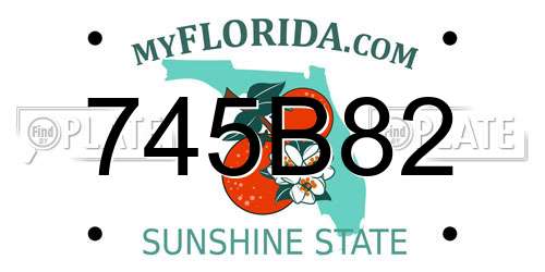 745B82 Florida License Plate