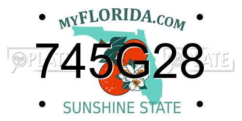 745G28 Florida License Plate