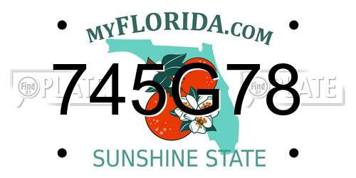 745G78 Florida License Plate
