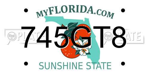 745GT8 Florida License Plate
