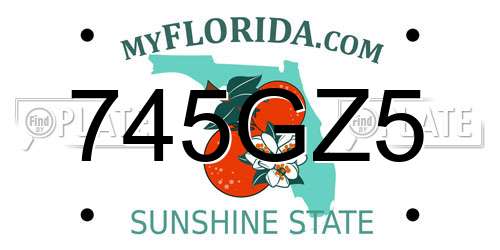 745GZ5 Florida License Plate