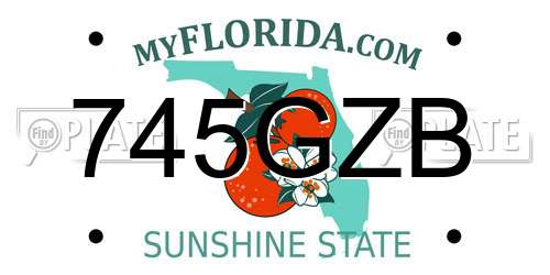 745GZB Florida License Plate