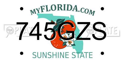 745GZS Florida License Plate