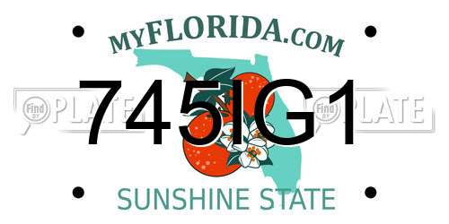 745IG1 Florida License Plate