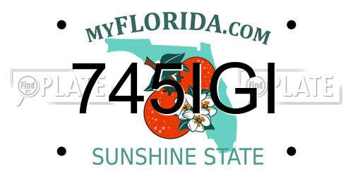 745IGI Florida License Plate