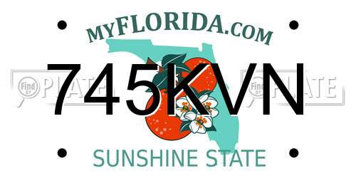 745KVN Florida License Plate