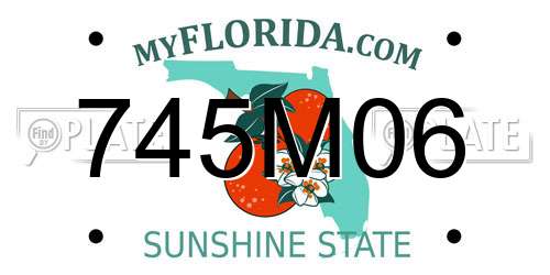 745M06 Florida License Plate