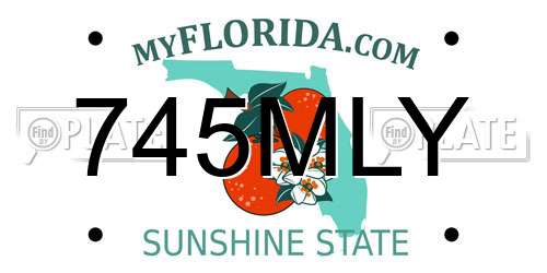745MLY Florida License Plate