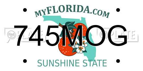 745MOG Florida License Plate
