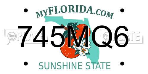 745MQ6 Florida License Plate