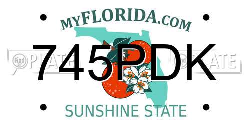 745PDK Florida License Plate