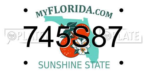 745S87 Florida License Plate