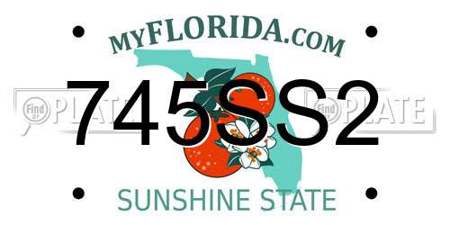 745SS2 Florida License Plate